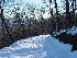 Trail